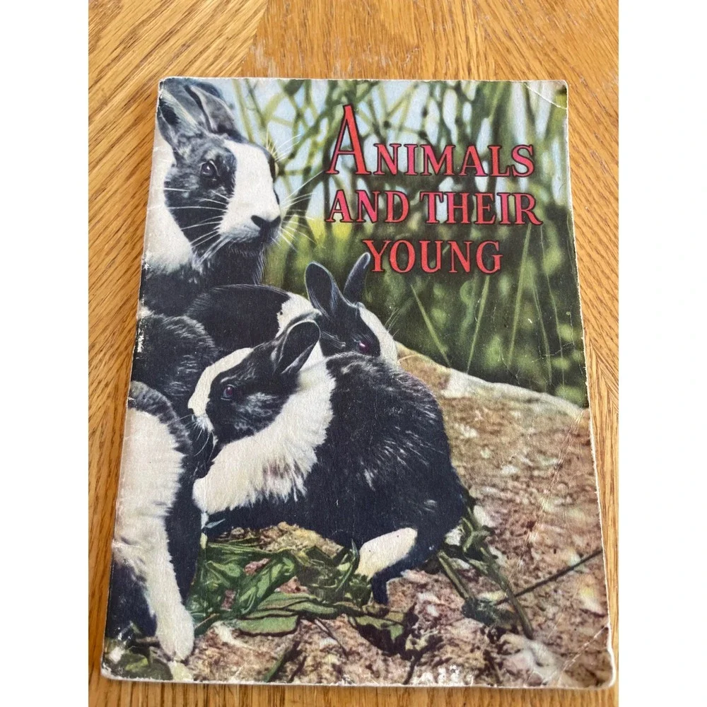 Row‎ Peterson Animals and Their Young Primary Book 1951 Multicolor Good Vintage